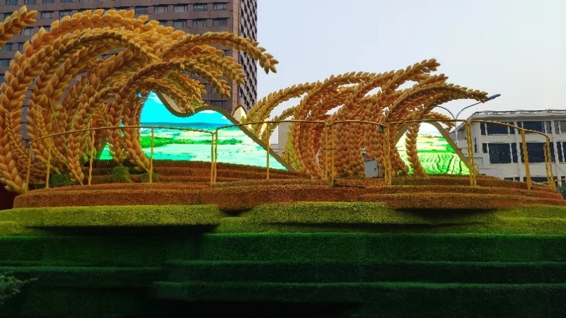 鼎点娱乐_平台用户注册登录中心