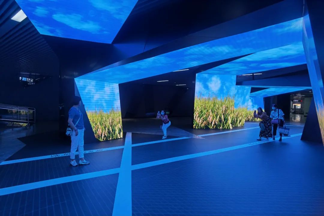 鼎点娱乐_平台用户注册登录中心